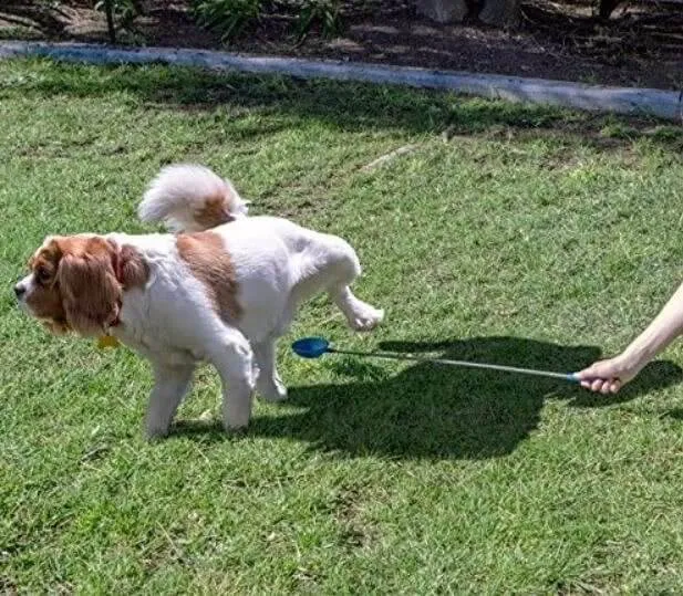 Take Urine Samples From a Distance