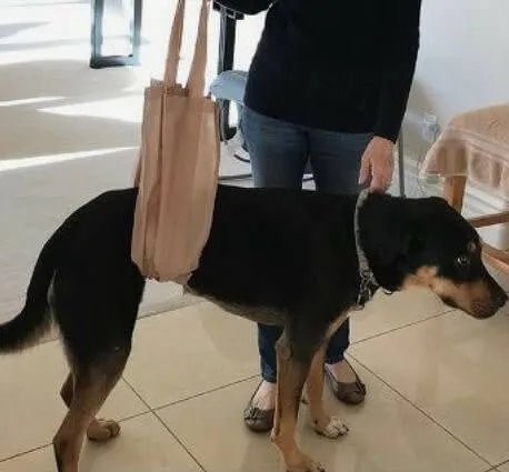 Turn a Grocery Bag Into a Walking Sling